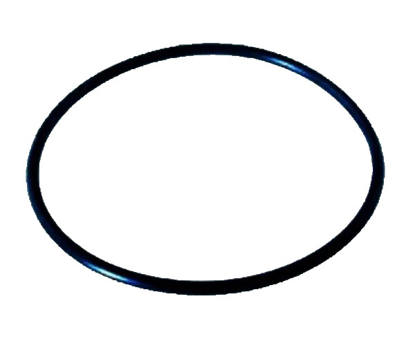 Pentair PacFab Dynamo Pool Pump Lid O-Ring O-231 Replacement For Part 354533