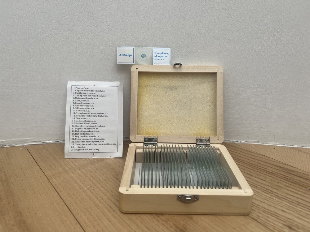 Student Microscope AmScope; excellent condition