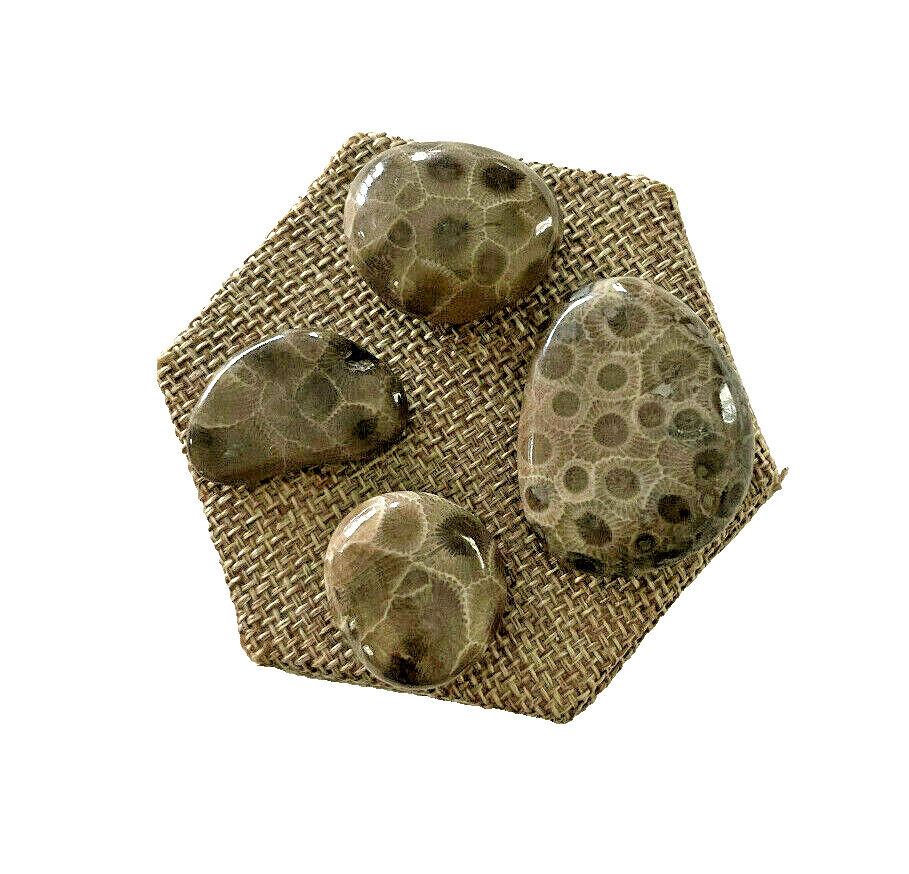***GREAT PRICE*** A SET OF 4 PETOSKEY STONES - BELOW RETAIL PLUS FREE SHIPPING!