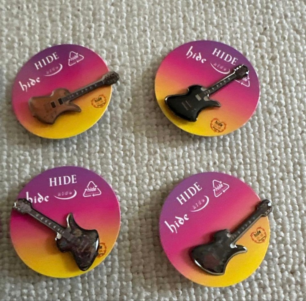 hide☆Pins capsule 10 piece set☆Complete