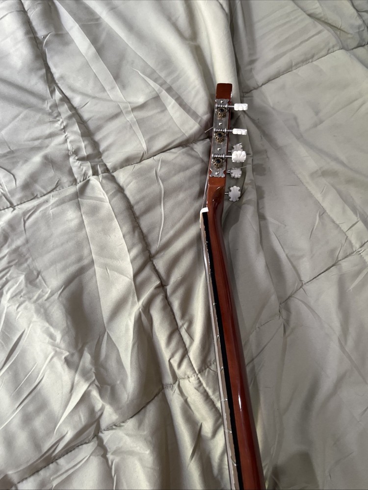 ariana guitar 570
