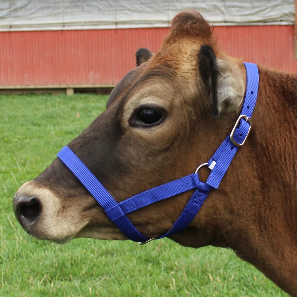 Adjustable Nylon Livestock Cattle Halters