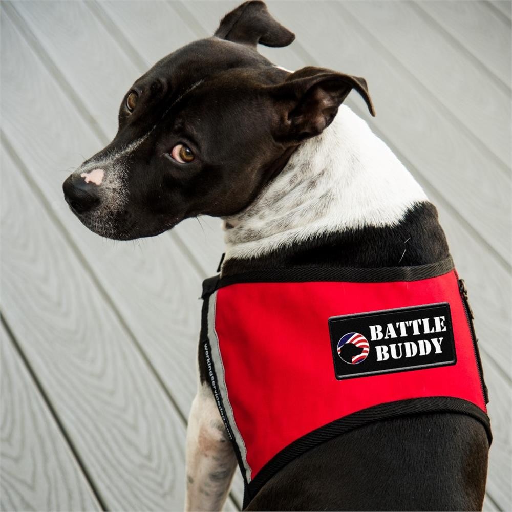 Battle Buddy Patch Sew-On Patch for Service Dog Vest