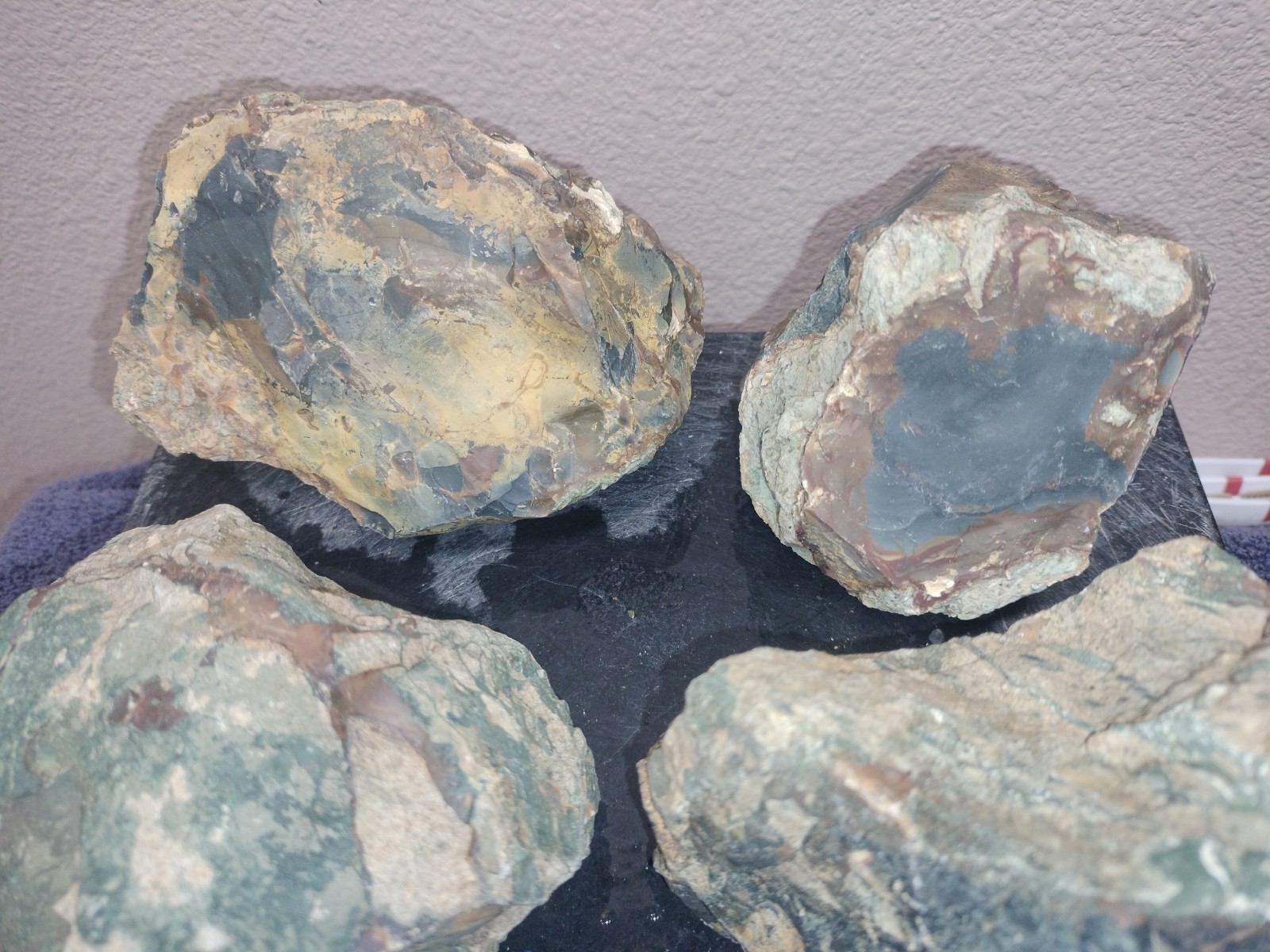 8.7LB ORBS Blue Mountain Picture Jasper Rough 6pc Lot #27