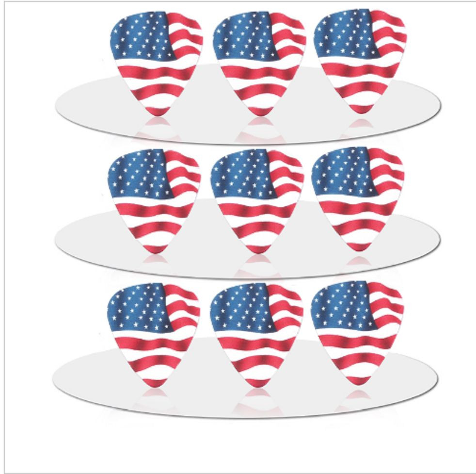 United States of America USA Flag Guitar Picks Lot of 10 .46 mm Free Track New