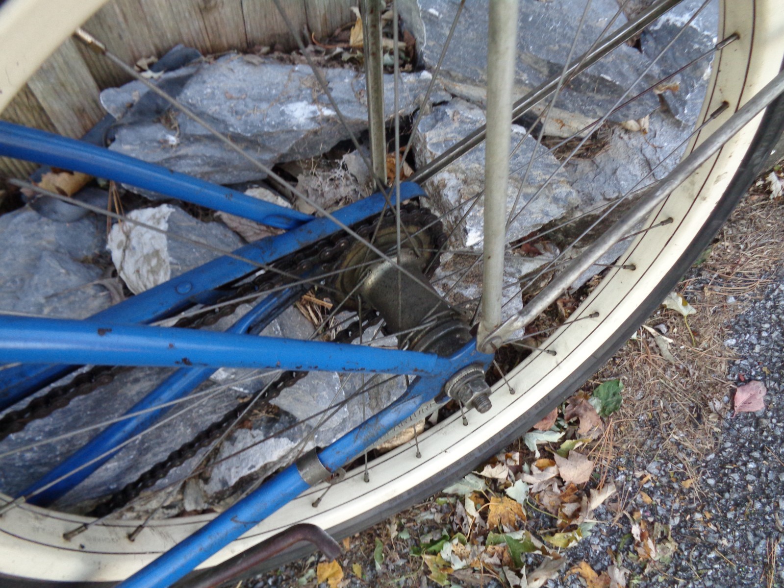 Vintage SCHWINN 24" Balloon Tire Girls Bike - Serial #G32268