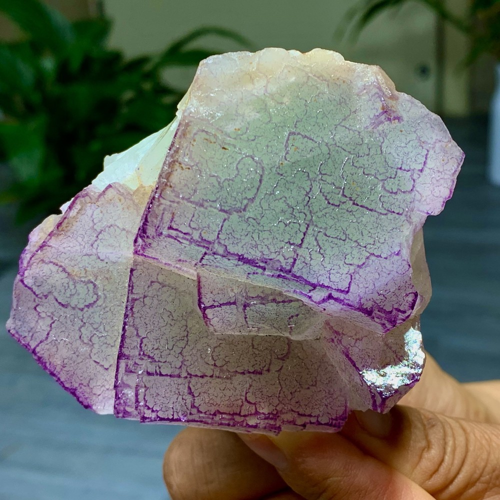 3 Code"Fluorite Cluster Crystal Mineral Specimen/Guizhou