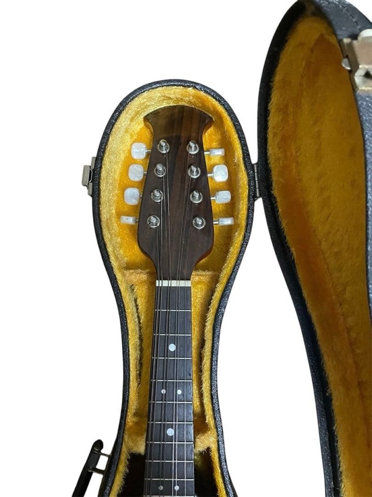 Suzuki violin mandolin M-218 with hard case
