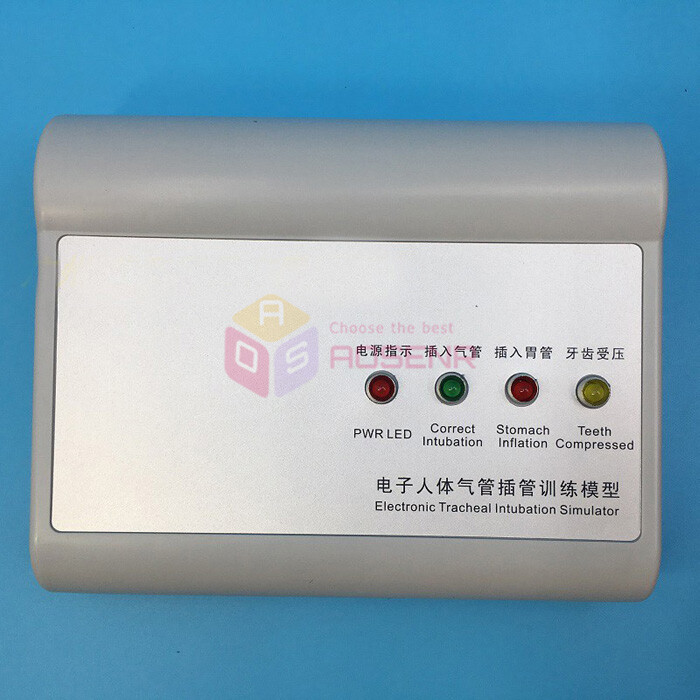 Intubation Manikin Study Teaching Model Training Manikins Patient Simulators