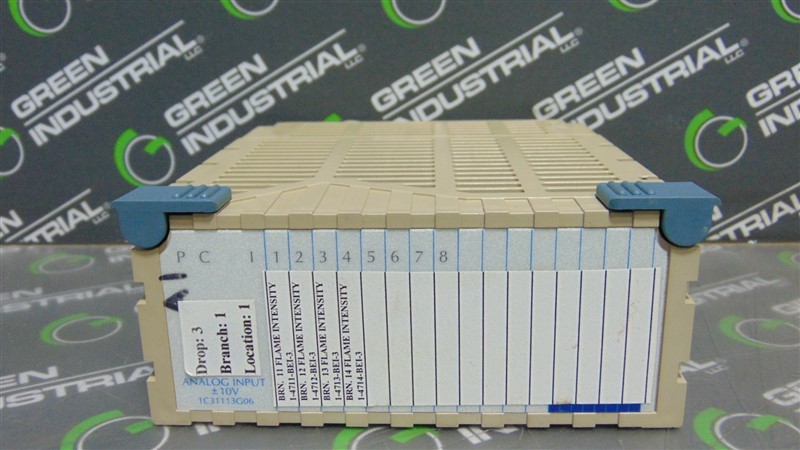 USED Westinghouse Emerson 1C31113G06 Ovation Analog Input Module