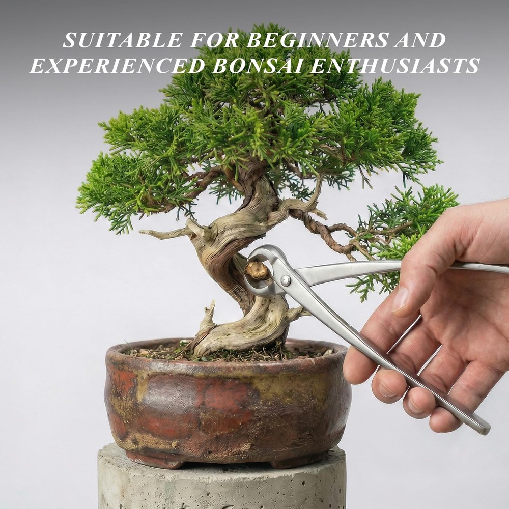 Best Bonsai Tools Set, 3-Piece Tree Includes Knob Cutter, Concave Scissors for