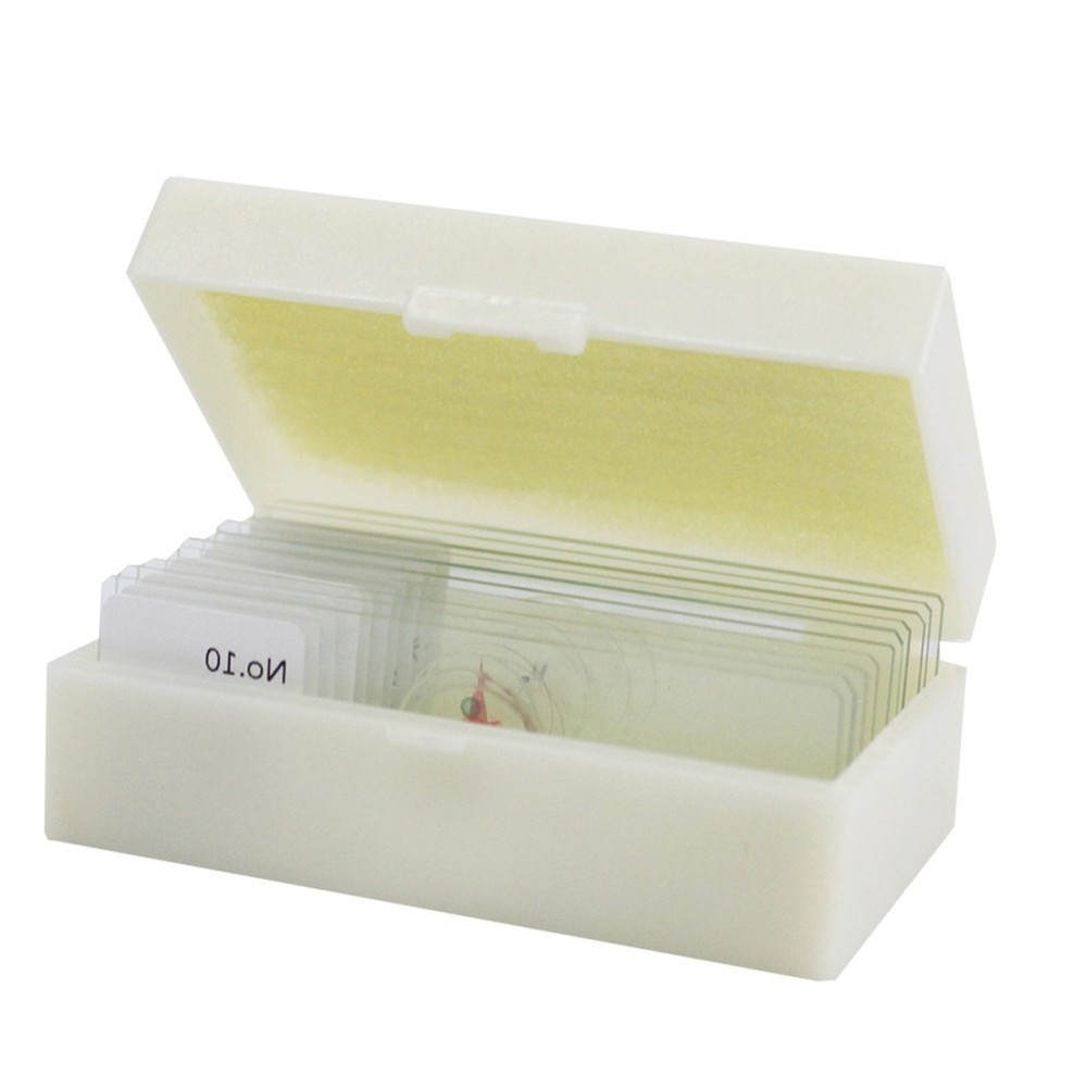 10 PCS/Set Concave Microscope Slides Lab Calibration Glass Specimens