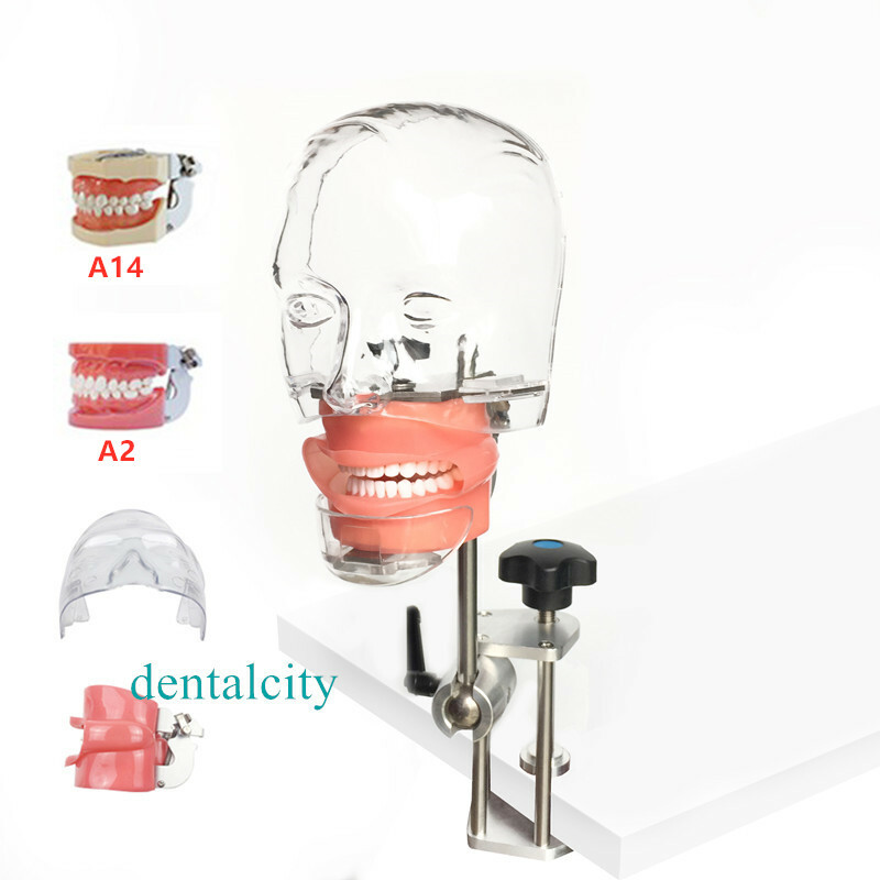 1pcs face for Dental Simulator Nissin Manikin Phantom Head Teaching model