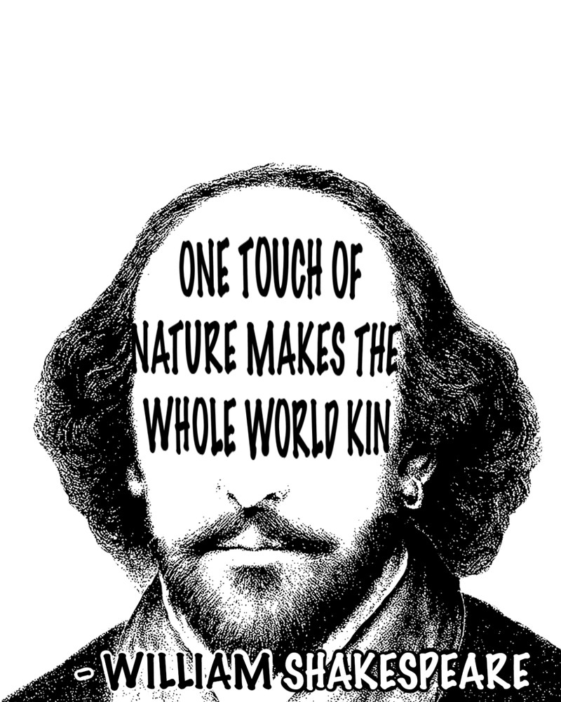 William Shakespeare Quote Sticker Collection