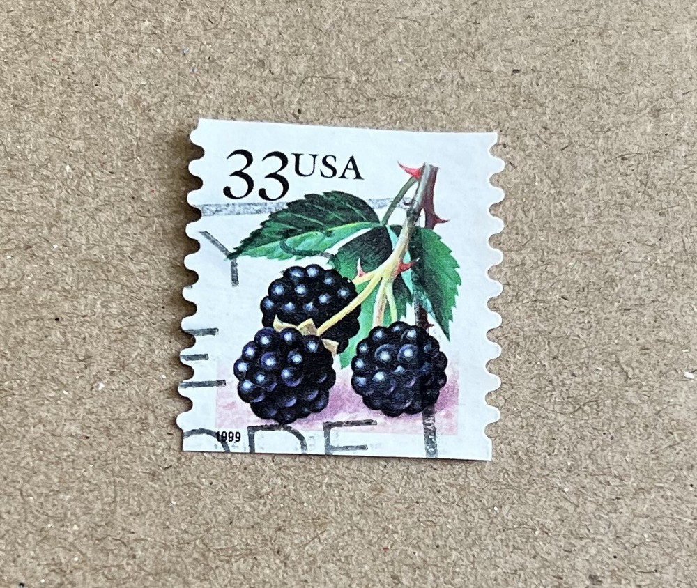 Blackberry USA Postage 33 Cent Stamp