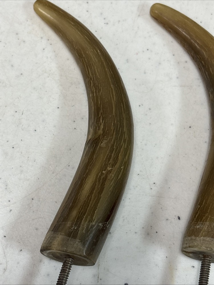 Animal Horn Cap Wall Hooks