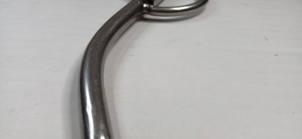 Bit Master BM 5” Shank Bit w/ Leather Curb Strap – Polished