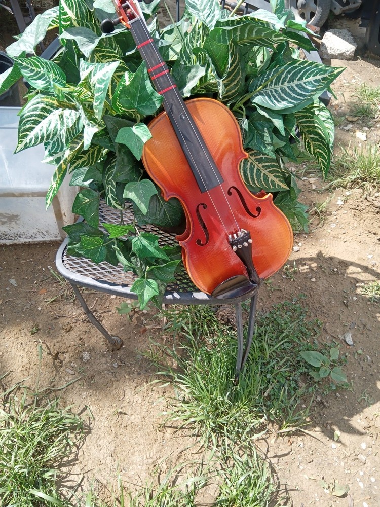 William Lewis & Son  Violin  Laurel 101