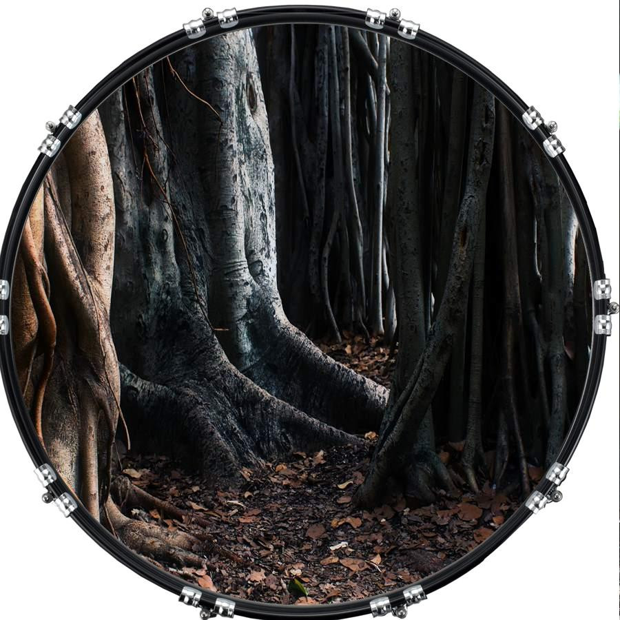 20" Custom Bass Kick Drum Front Head Graphic Graphical Trees 3