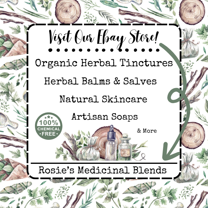 Focus Memory & Concentration | Organic Herbal Extract Tincture | Learning | ADHD