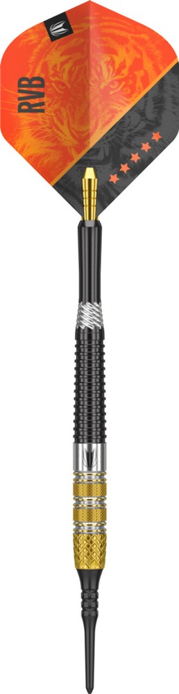 Target Raymond Van Barneveld Gen 4 20G Soft Tip