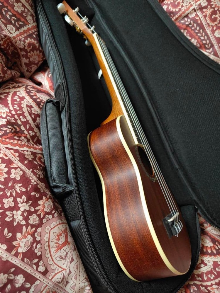 Ukulele (with case)