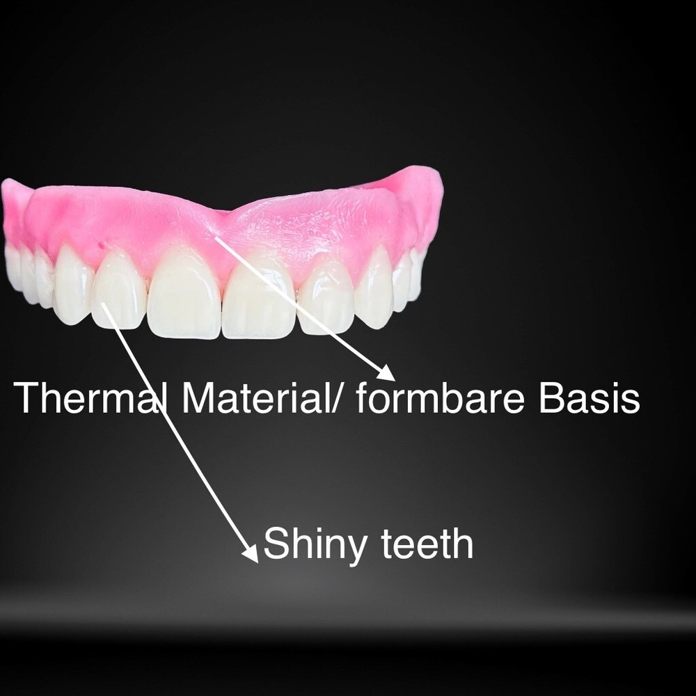 Premium DIY Prostheses Model,Educational Tooth Model Dental