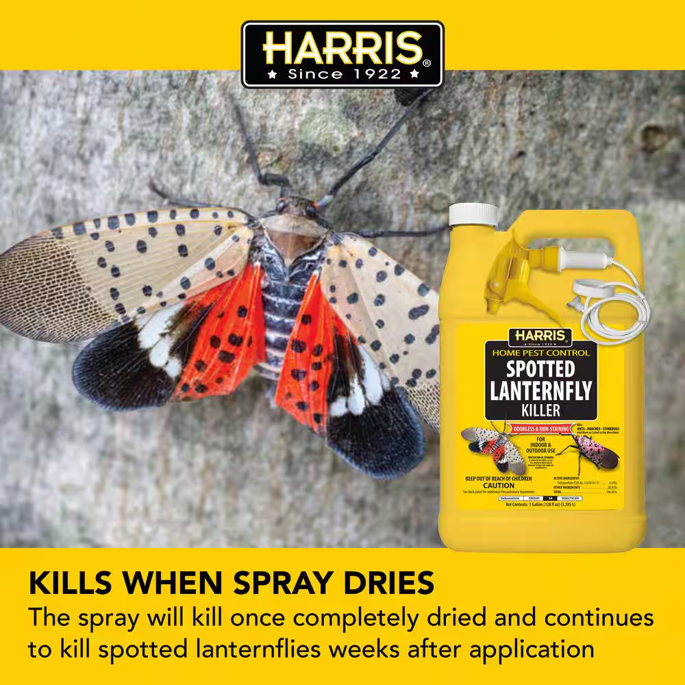 1 Gal. Spotted Lanternfly Killer (4-Pack)