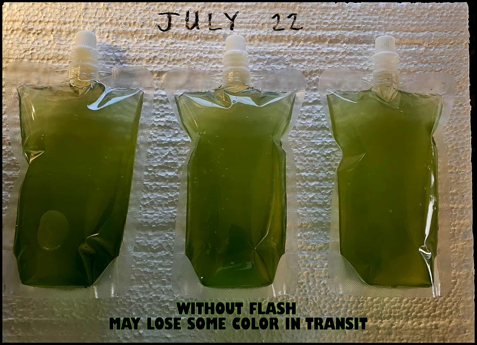 Rich Green Water (chlorella) 13oz Clean indoor cultures. Free Shipping