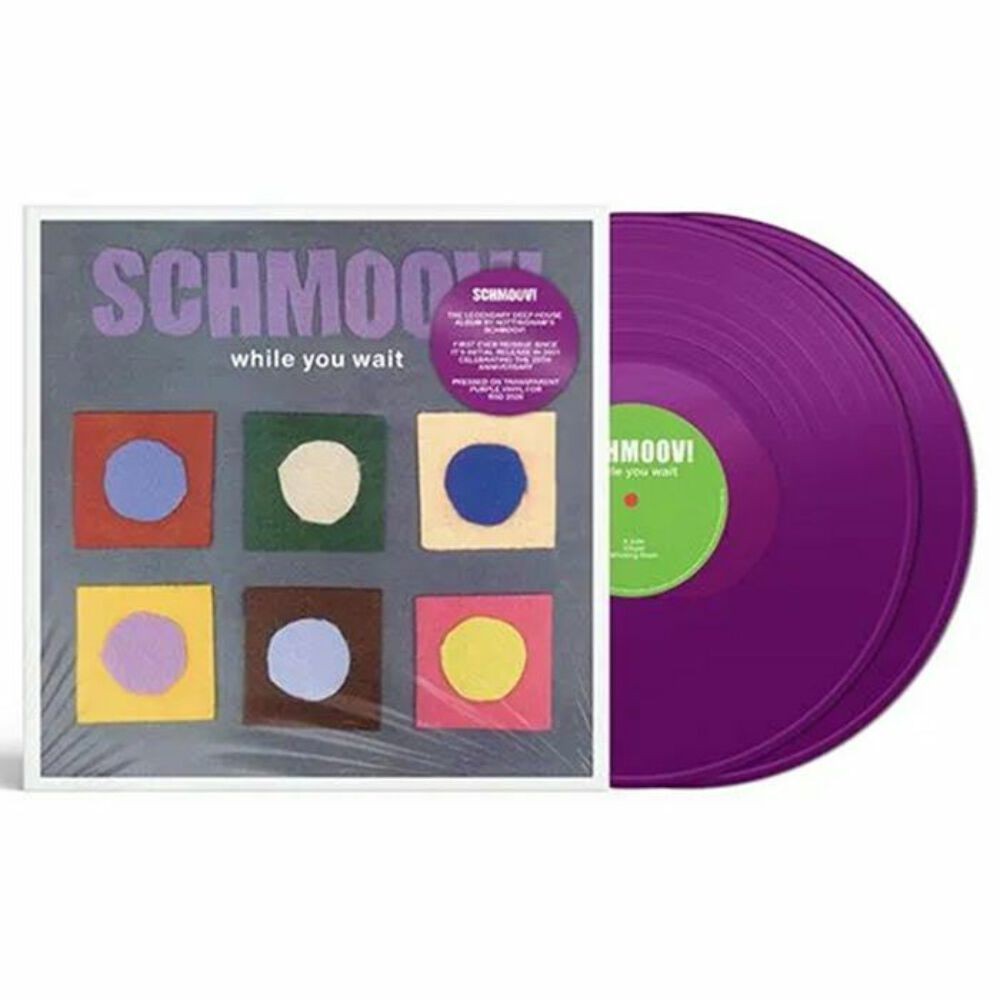Schmoov! - While You Wait (2xLP) (Purple)