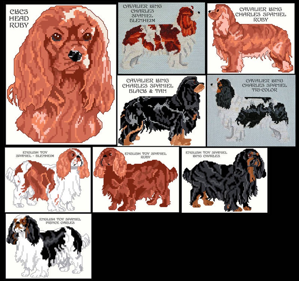 CKCS & ENGLISH TOY SPANIEL COUNTED CROSS STITCH PATTERN