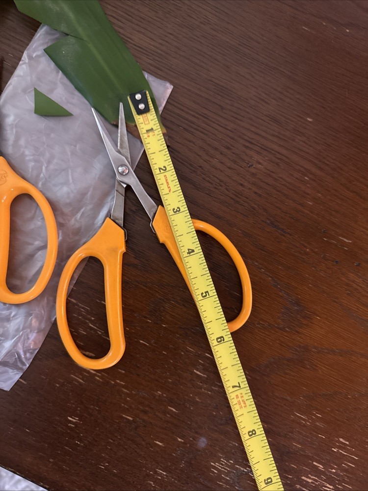 4-pack ARS Fruit Pruning And Trimming Scissors.