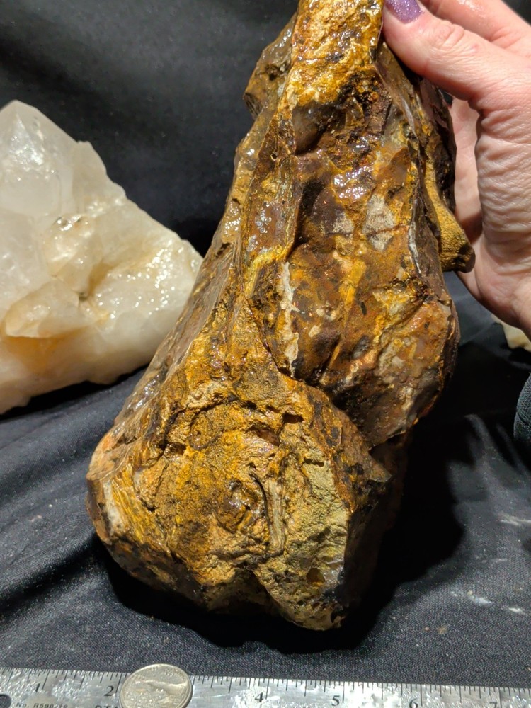 Biggs Jasper Specimen w/ Rolling Hills Patterns Natural Form (6lbs 10oz)