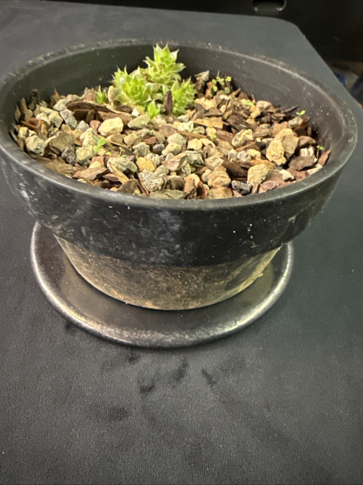 Gothic Pot Holder Handmade