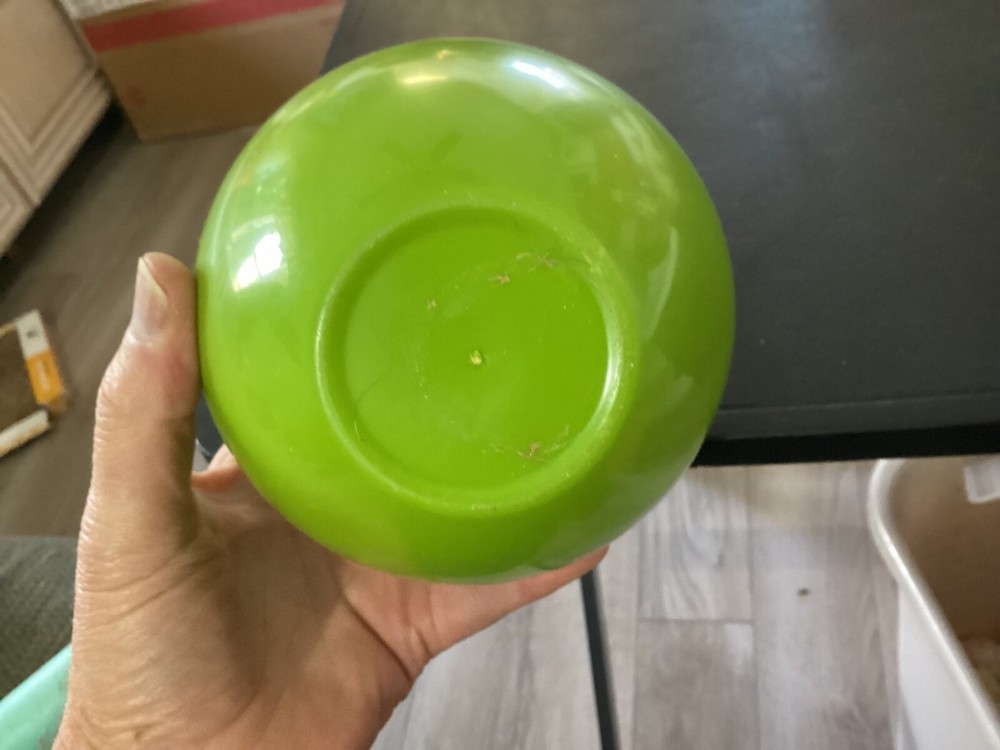 Large Green and Clear Plastic Storage Apple