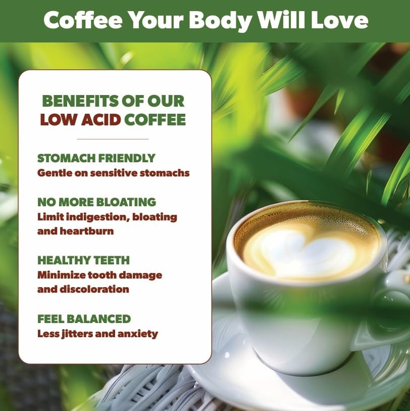 Low Acid Organic Coffee – Whole Bean, MoldFree & Stomach Friendly by Java Pla...