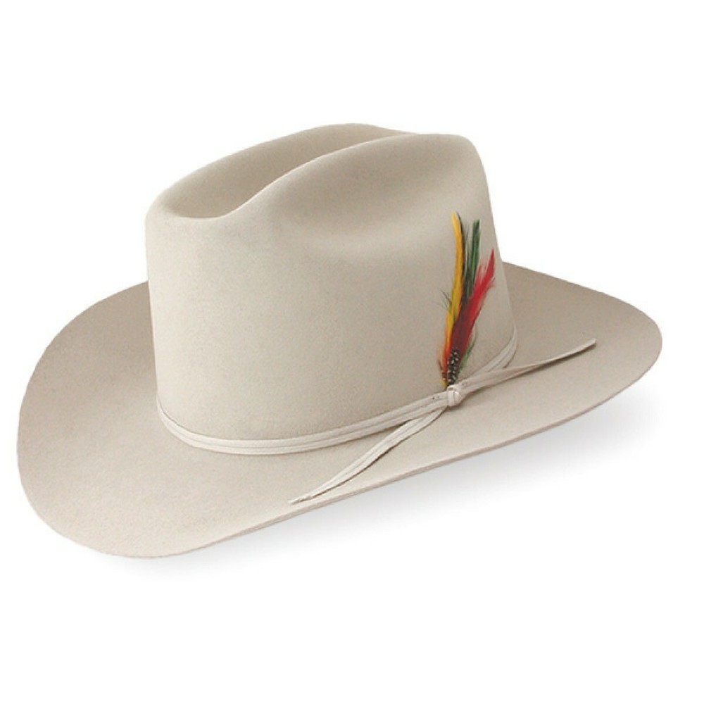 Stetson® Classic Cowboy Hat Feather ( 2 Feathers ) MULTICOLOR