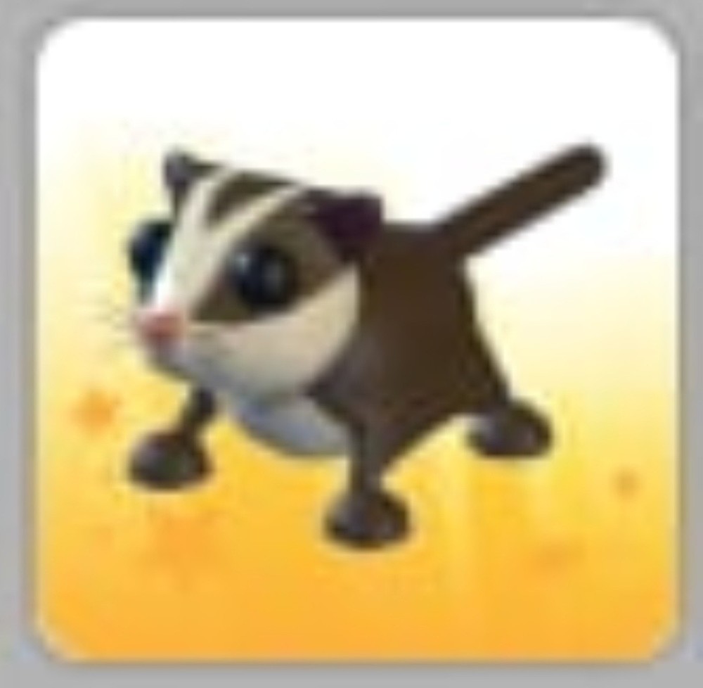 Sugar Glider | Adopt Now