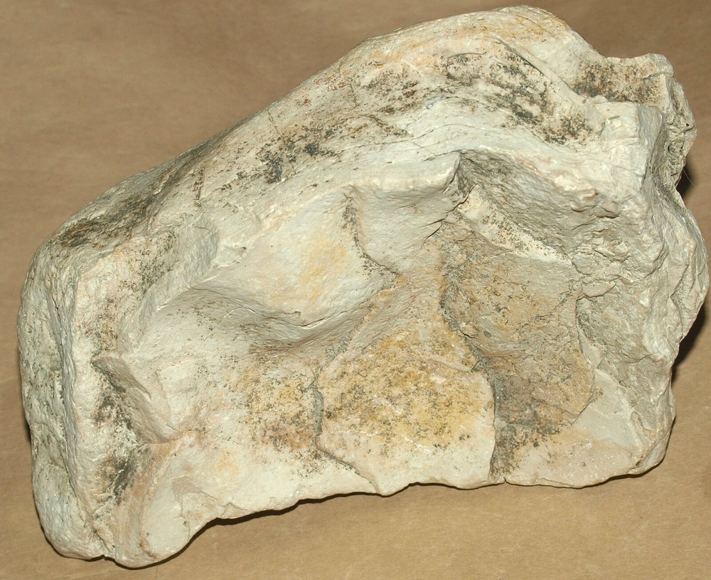Silurian STROMATOLITE from Estonia