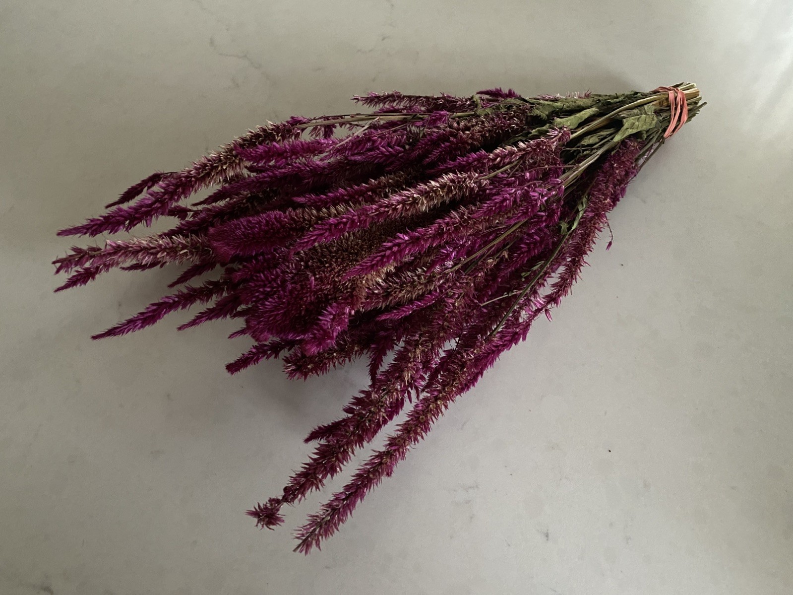 Pencil CELOSIA * Ruby Parfait * Dried Flowers Bunch BOUQUET Bundle * USA