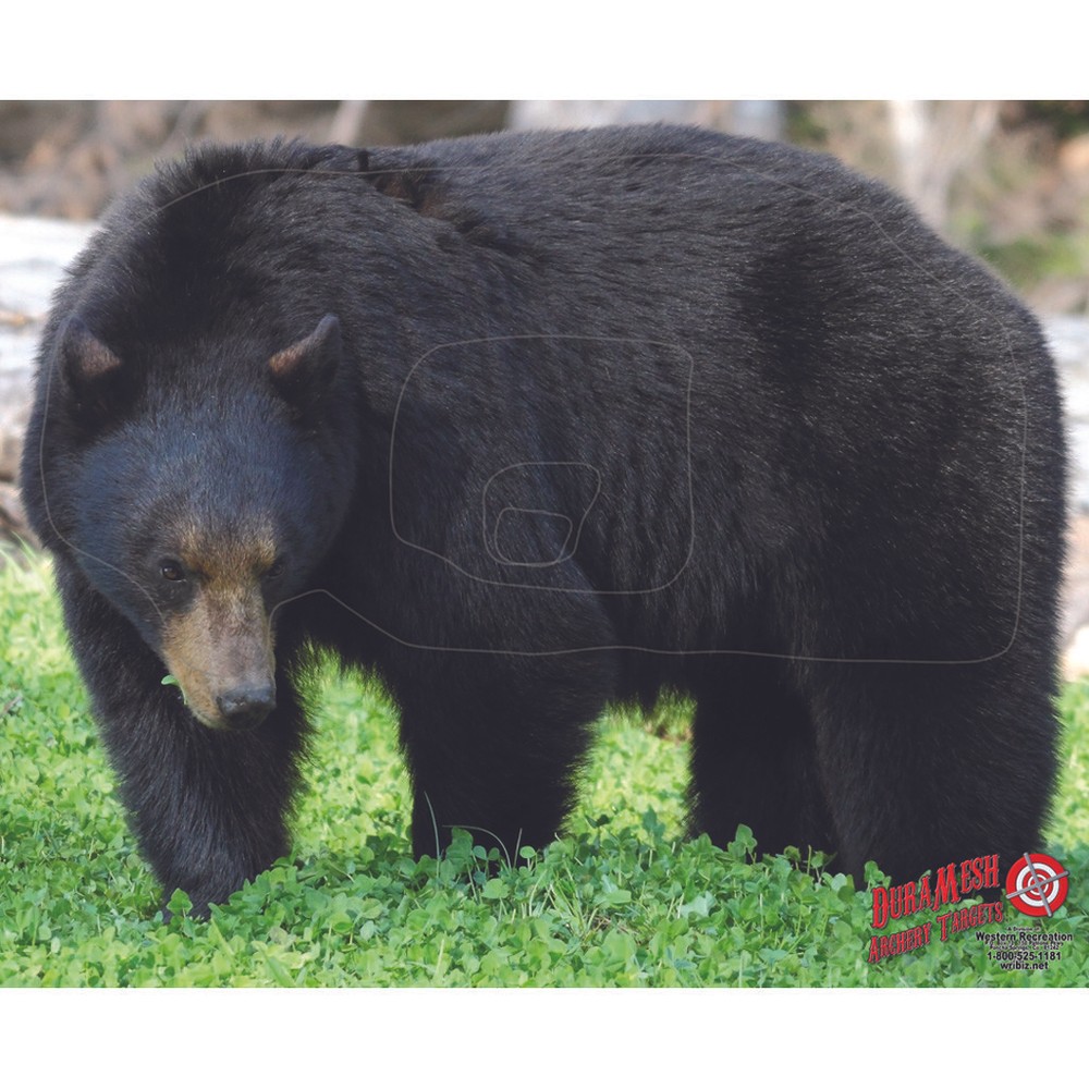 DuraMesh Archery Target Black Bear