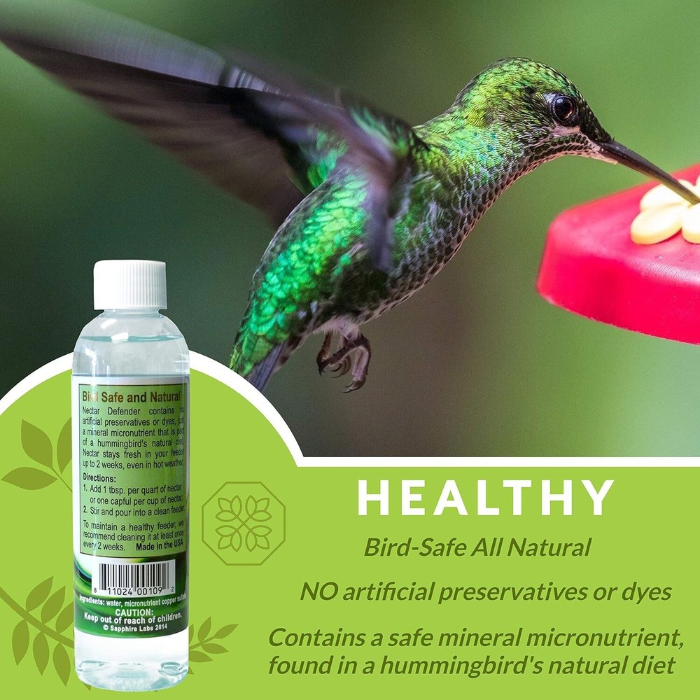 Hummingbird Feeder Fresh Nectar Defender