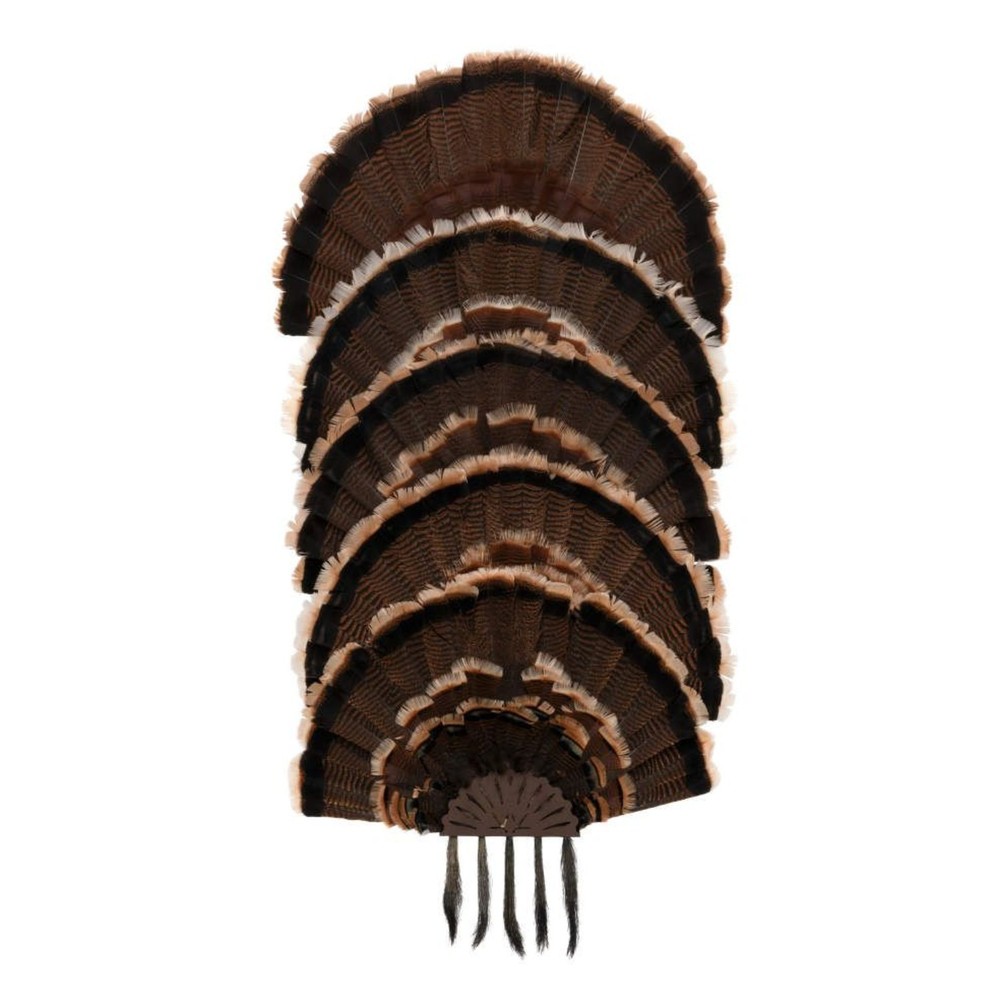Allen EZ Mount Stackable Turkey Fan & Beard Wall Mount Display, Holds 5 #7258