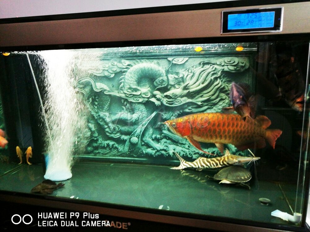 Aquarium Background Poster Dragon Cameo PVC 3D Fish Tank Decorations Landscape