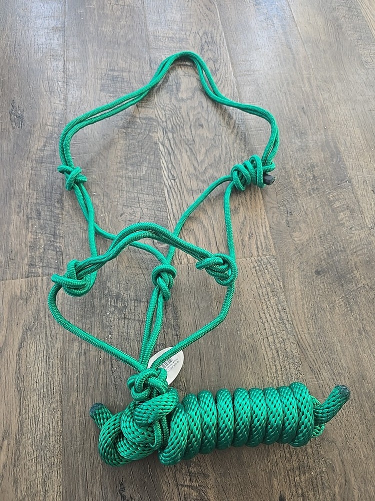 horse halter and lead rope