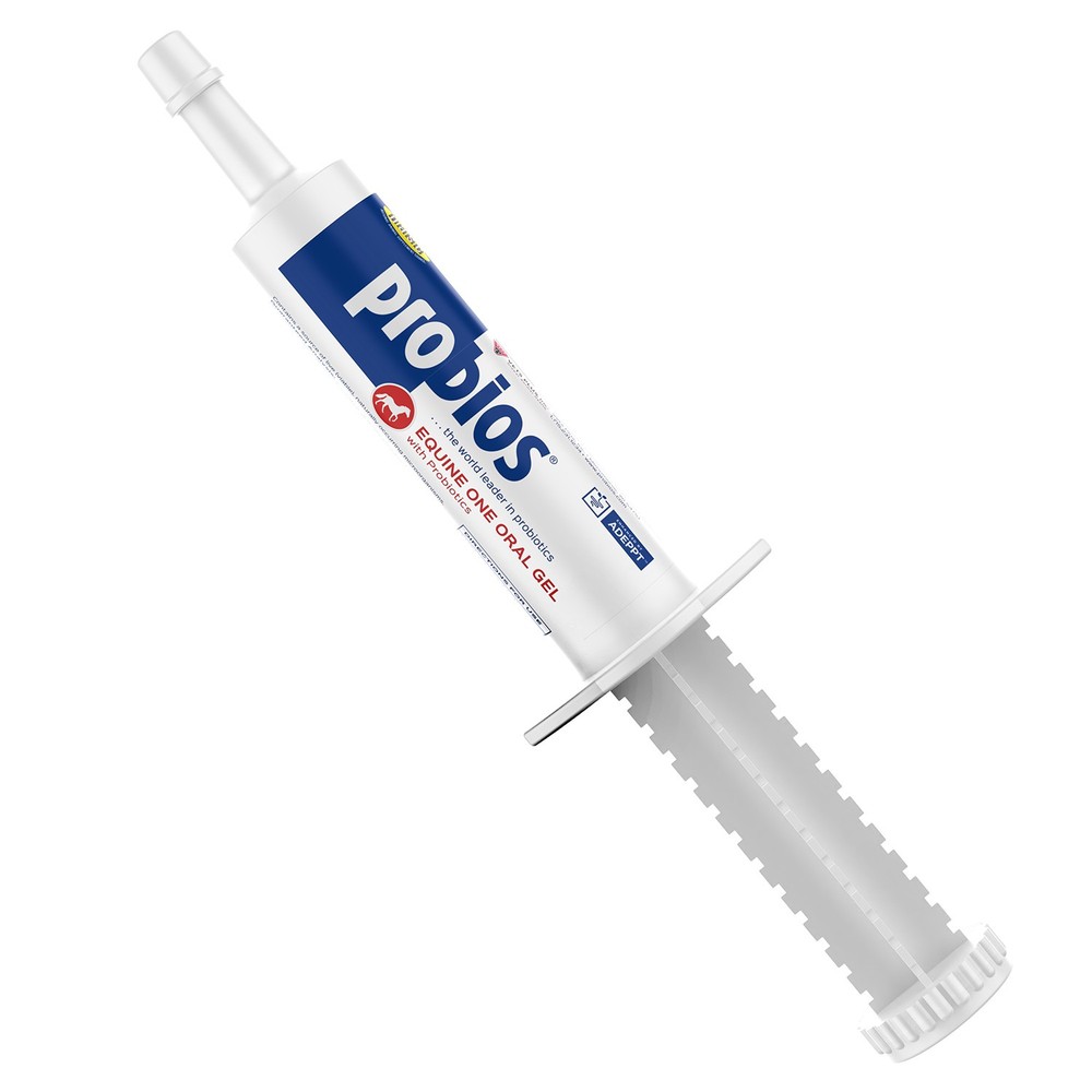 Probios Equine One 30gm