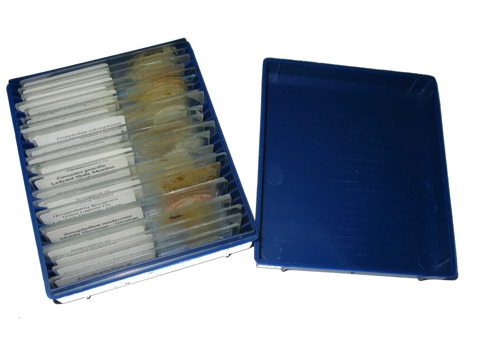 Geological Rock Formation & fossil Thin Section collection 100 slides in case