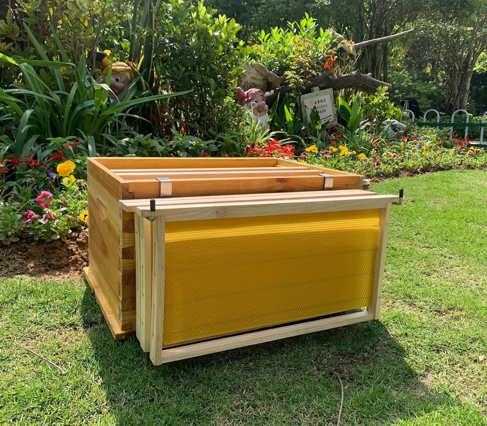 Stainless Steel Frame Holder for Beekeeping - Holds 3 Frames, Space-Saving Tool