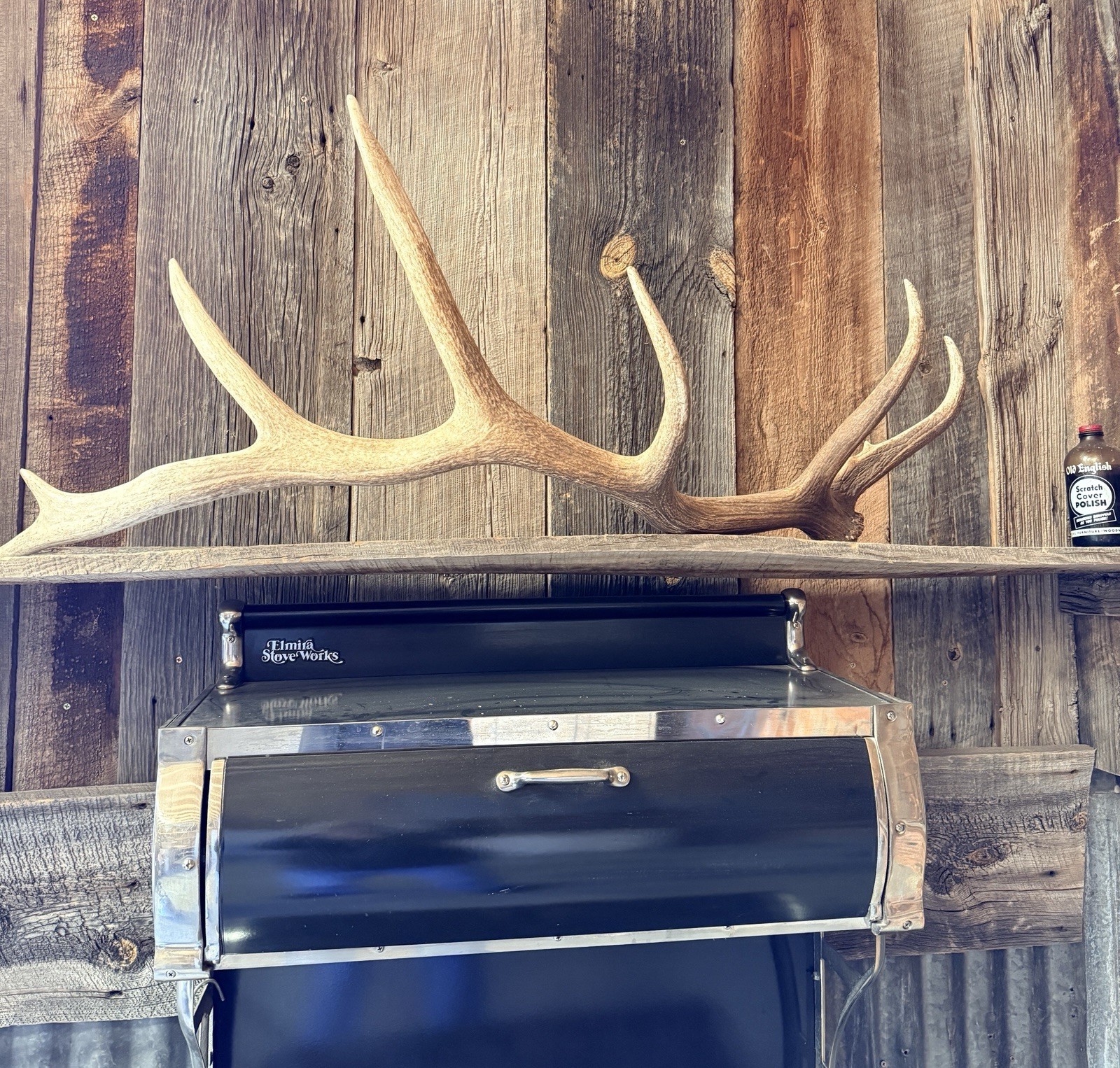 7pt Elk Shed ~ Elk Antler ~ Decor