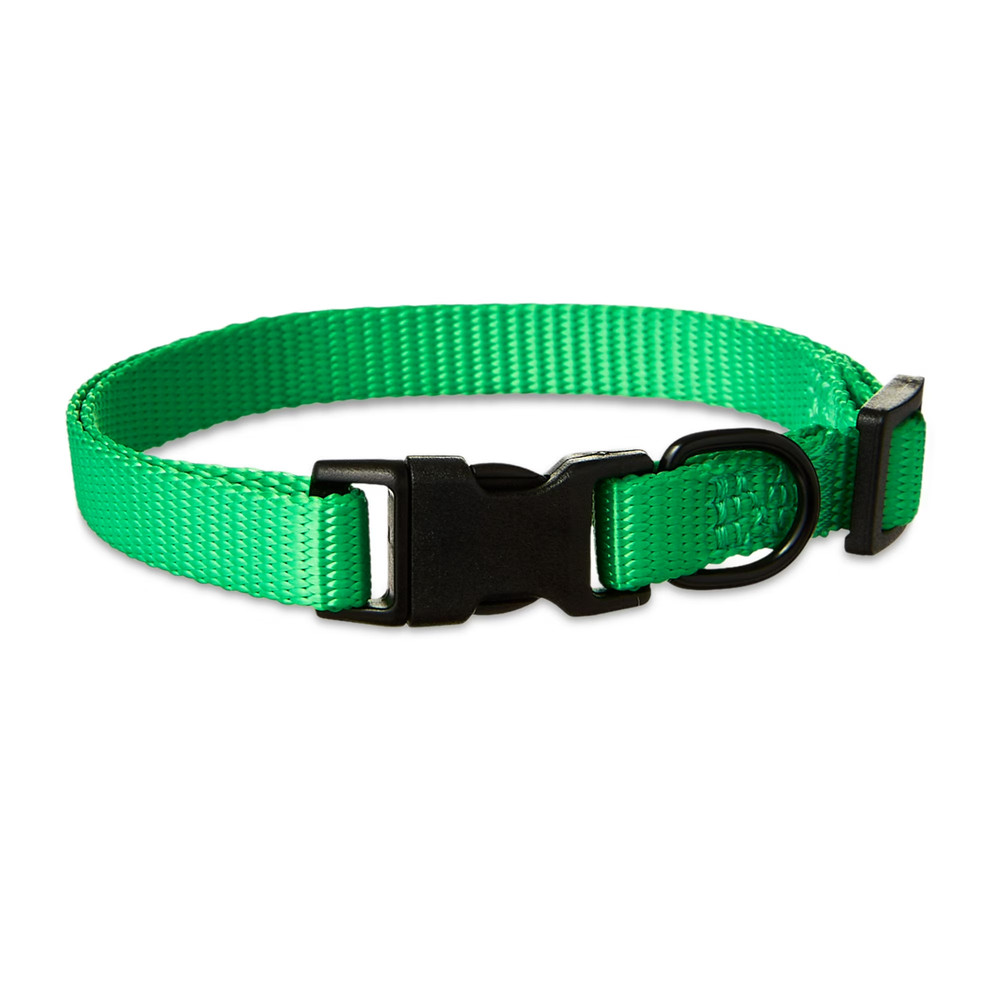 Vibrant Life Polyester Adjustable Dog Collar, Green,